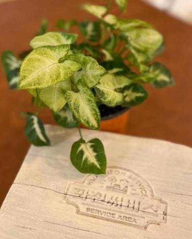 Hwacheon Service Pension