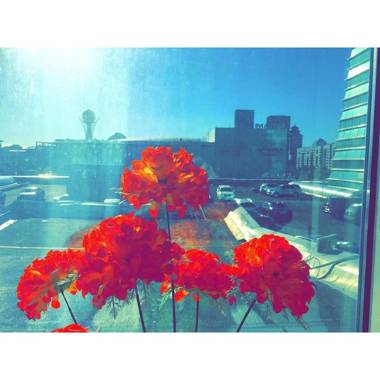 Chupa Chups apartment on Dostyk 5/1 str