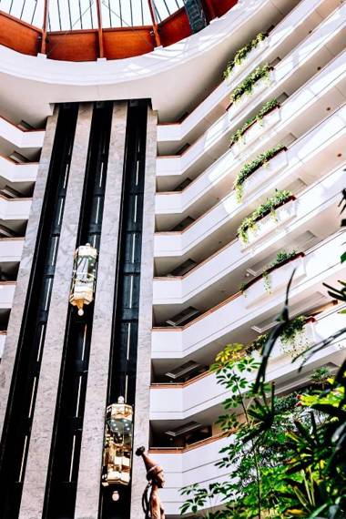 Rahat Palace Hotel