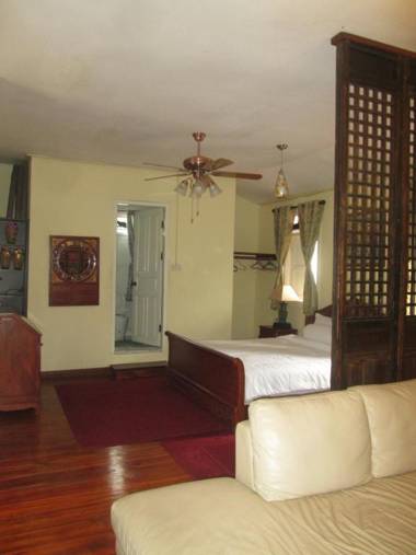 Spacious Private Suite