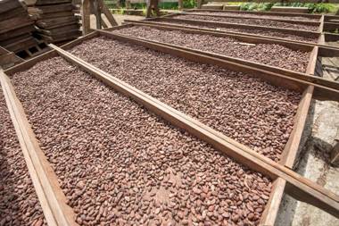 Rabot Hotel From Hotel Chocolat