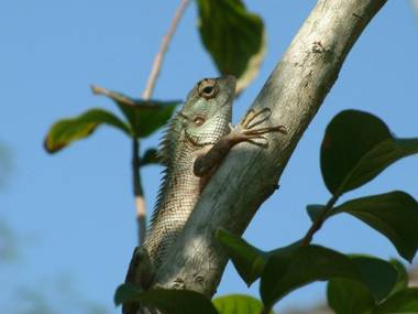 Top of the Hill Guesthouse