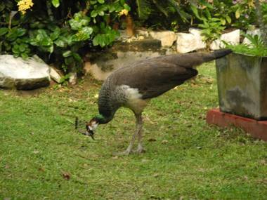 Top of the Hill Guesthouse