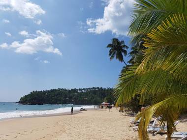 Chill House (Good Story)