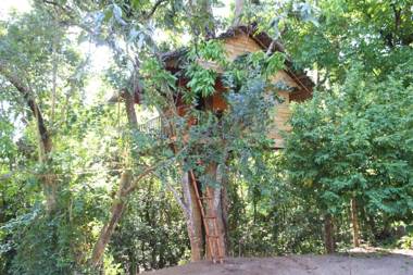 Tree House-Midigama