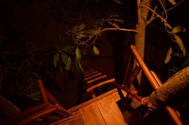 Tree House-Midigama