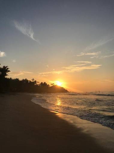 Colours of Life Home