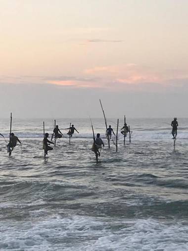 Colours of Life Home