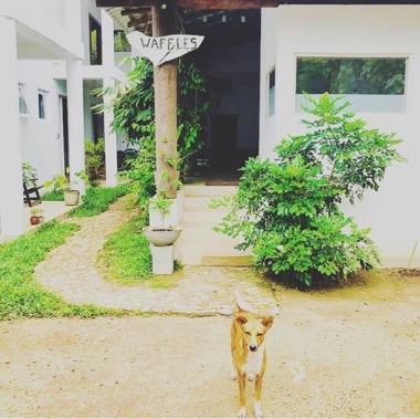 Colours of Life Home