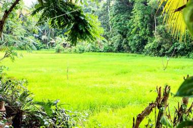 Nature Nest Home Stay