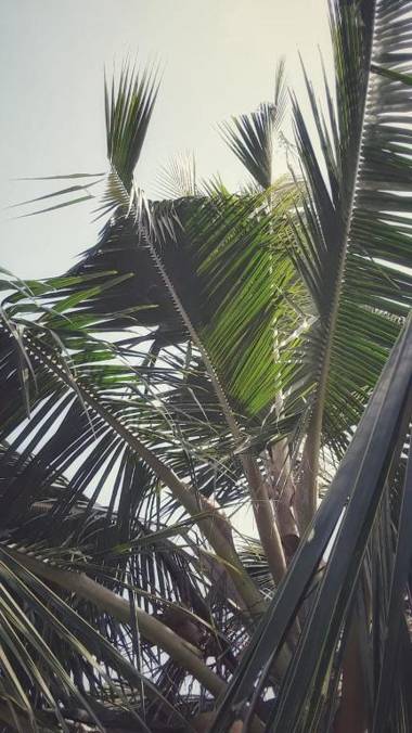 Happy Living Weligama