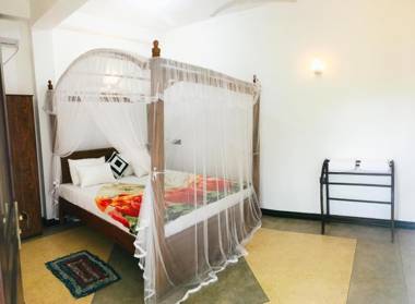 Dreams Connect Guest