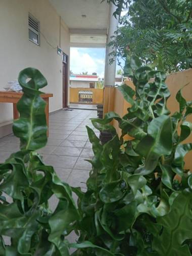 New golden bay Resort