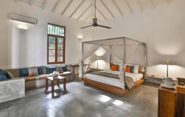 The Frangipani Tree by Edwards Collection