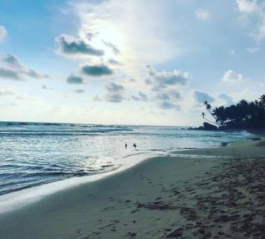 Daffodil Holiday Resort