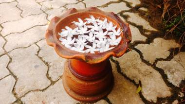 Aluthgedara Guest House