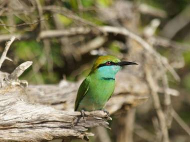 Villa Kaetana Lanka Unawatuna