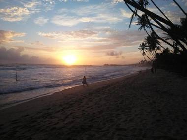 Jungle View apartment