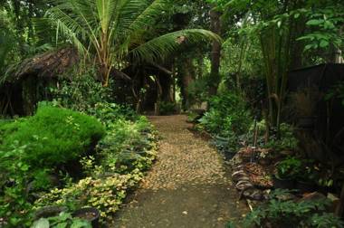 Kumbuk Tree House Yala