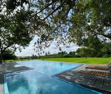 Bird Scenery Leisure Resort