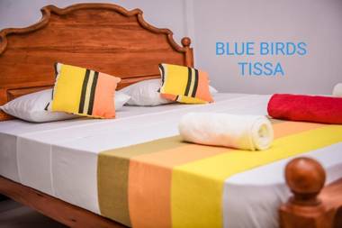Blue Birds Tissa & Yala safari