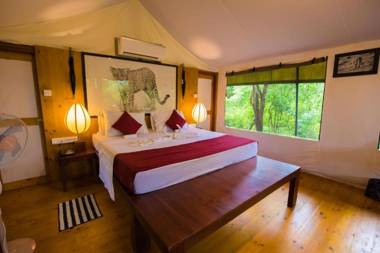 Yala Hotel Lion - Air conditioned Luxury Tented Safari Camp