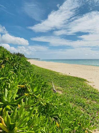 Sanjis The Seaside Cabanas