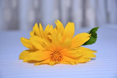 Little Sunshine Guest House & Restaurant