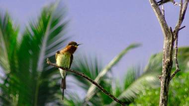 Salt Lake Cabanas & Restaurant