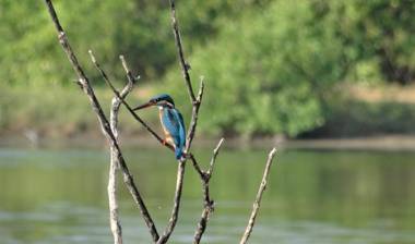 Salt Lake Cabanas & Restaurant