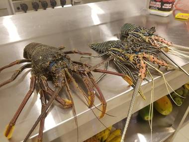 Sanu Lagoon Resort & Spa