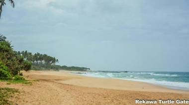 Rekawa Turtle Gate Hotel