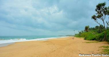 Rekawa Turtle Gate Hotel