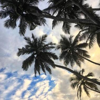 Goyambokka View Guesthouse