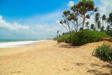 Heaven in Satinwoods