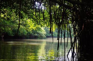 Hidden Garden Tangalle