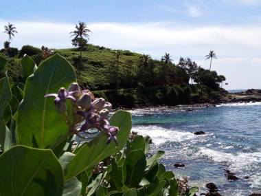 Serendip Villa With Restaurant (Talalla Sri lanka)