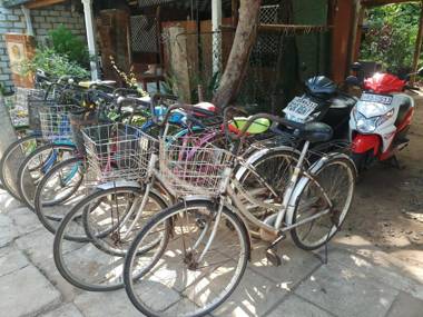 Green Grass Homestay