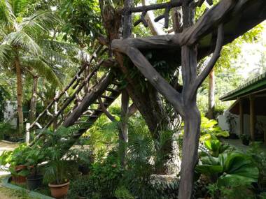 The Nature Park Villa