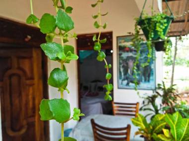 Sigiri Lakshan Home Stay