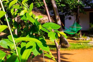 Sigiriya Lahiru Homestay