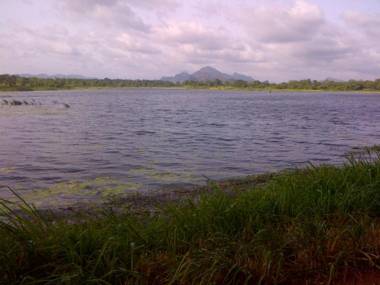 Sigiri Bliss Garden Home Stay