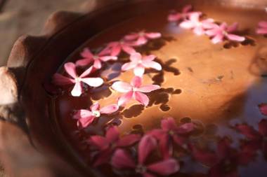 Sigiri Aliya Tree house