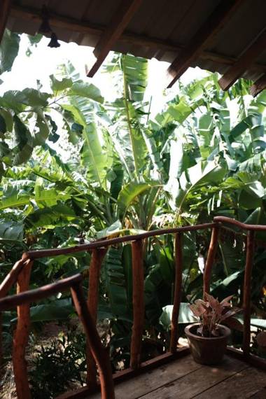 Sigiri Aliya Tree house