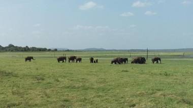 Passion Ray Villa & Tree Hut