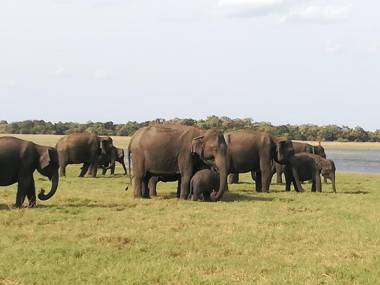 Sigiri Corridor Home Stay