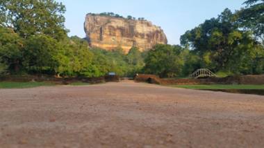 Fairview Dill homestay