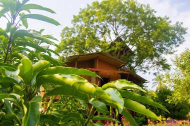 Anushka Nera Nature House
