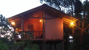 Akash Treehouse