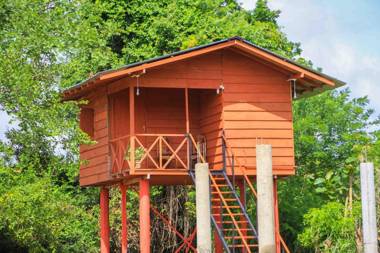 Sigiri Royal Point Tree House